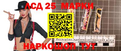 индика Жуковский